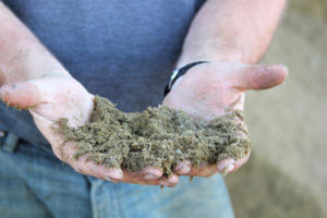 Farming Into The Future: Water Conservation at Coldstream Farms