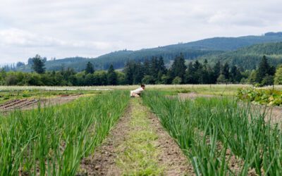 Sustainable Farming the South Fork