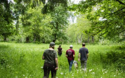 Working Together to Protect Farms, Fish, and Forests