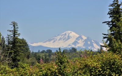 Generations of Farming in Whatcom County