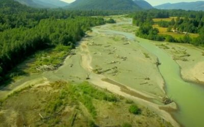 New Opportunity in the Upper South Fork Nooksack