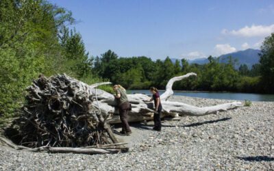 A Future for Salmon in the South Fork