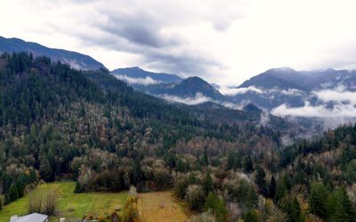 Whatcom land trust board and committee membership