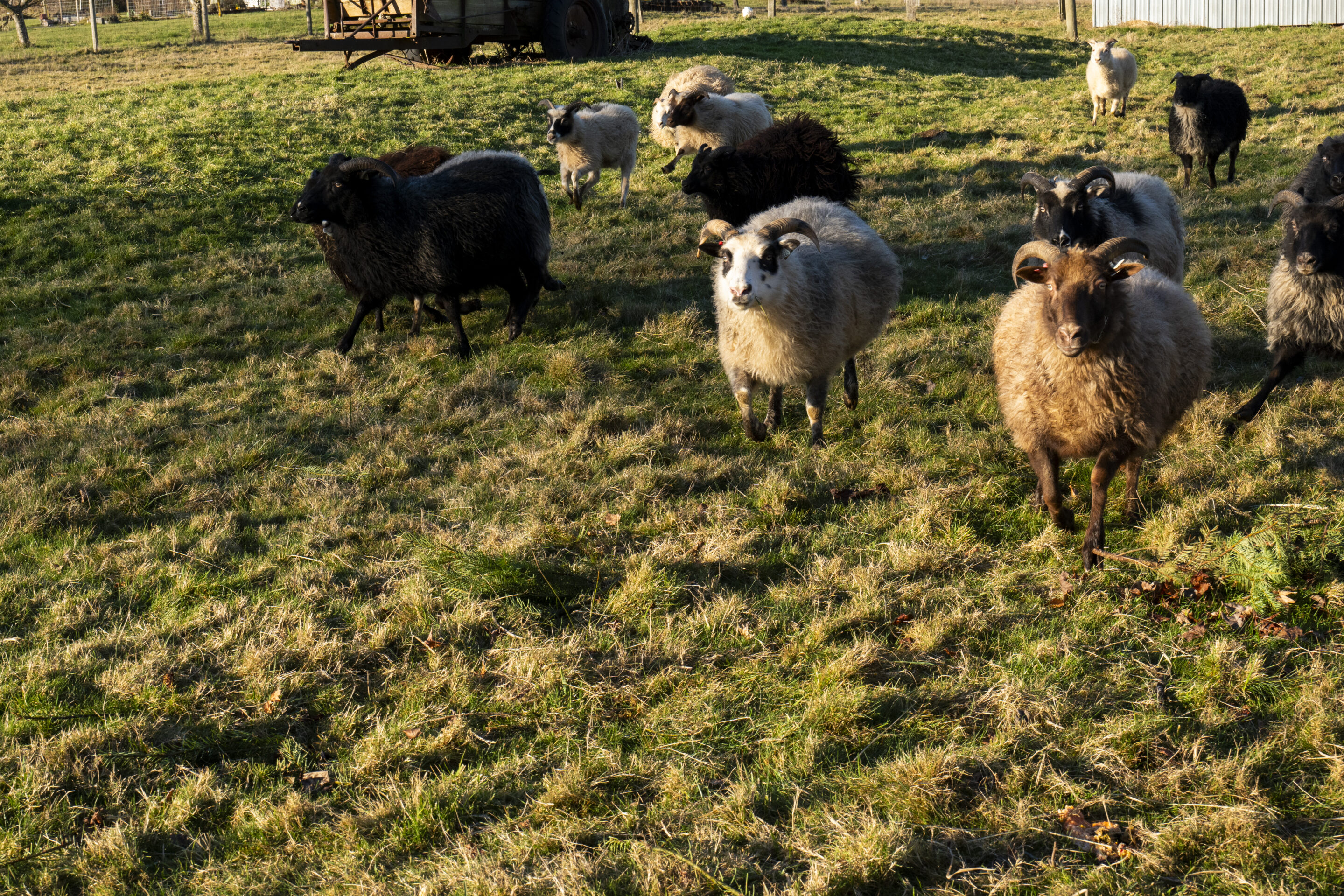 An Interview with New Executive Director Rachel Vasak