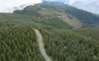 Stewart Mountain Community Forest Prepares for Growth