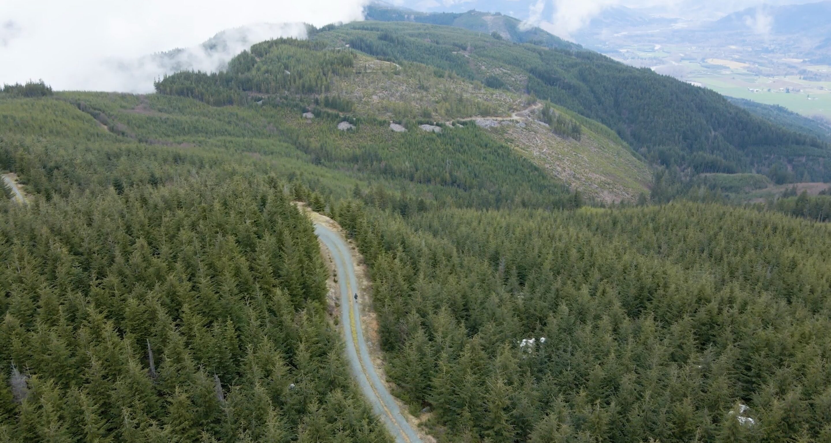 Stewart Mountain Community Forest Prepares for Growth