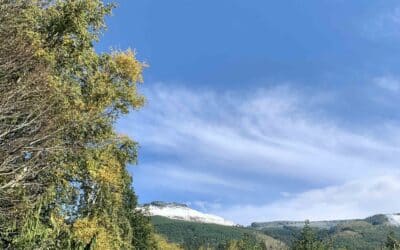 Whatcom Land Trust accepts interim ownership of Cloud Mountain