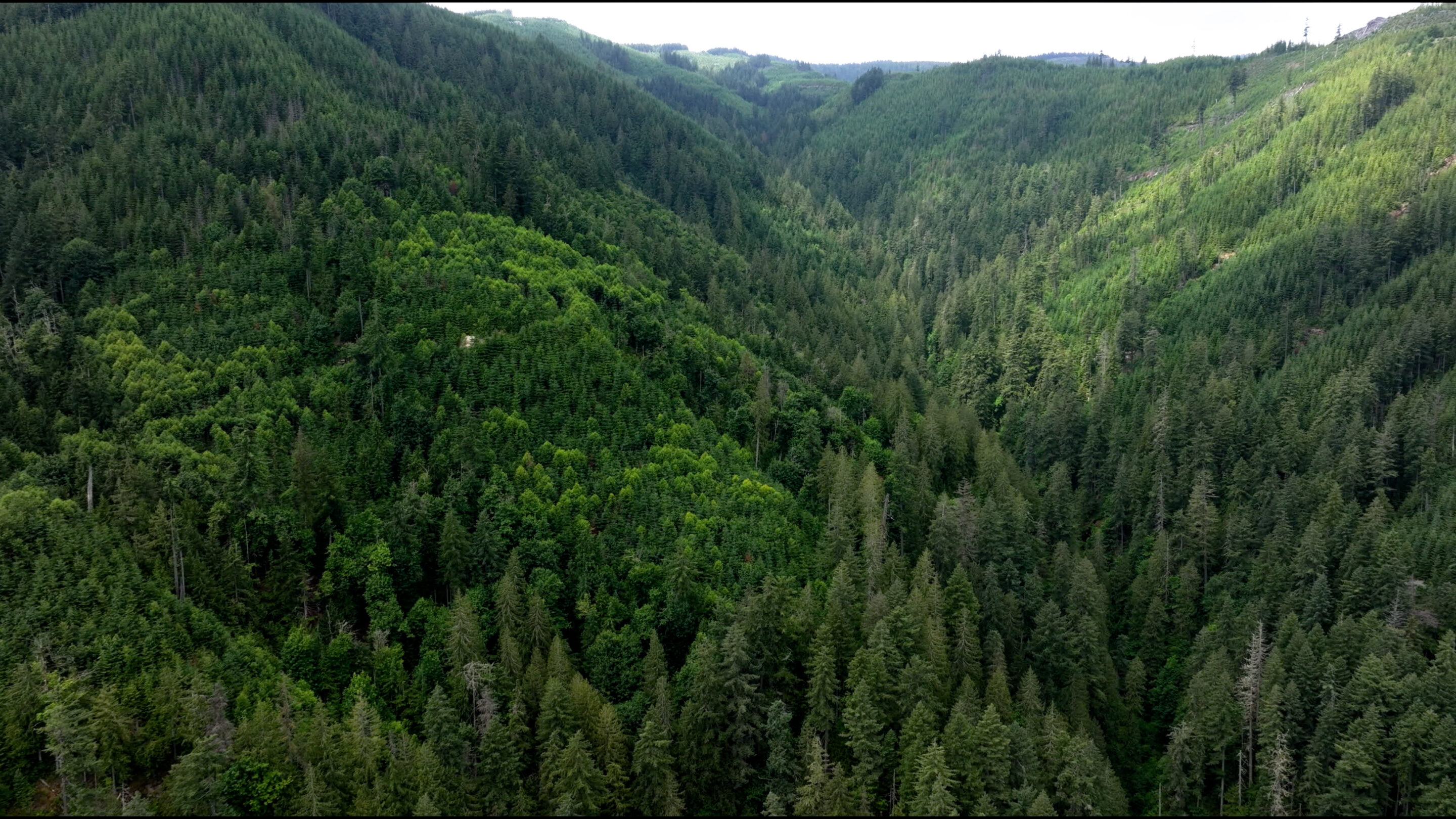 1,616 ACRES PROTECTED BY STEWART MOUNTAIN COMMUNITY FOREST PARTNERSHIP