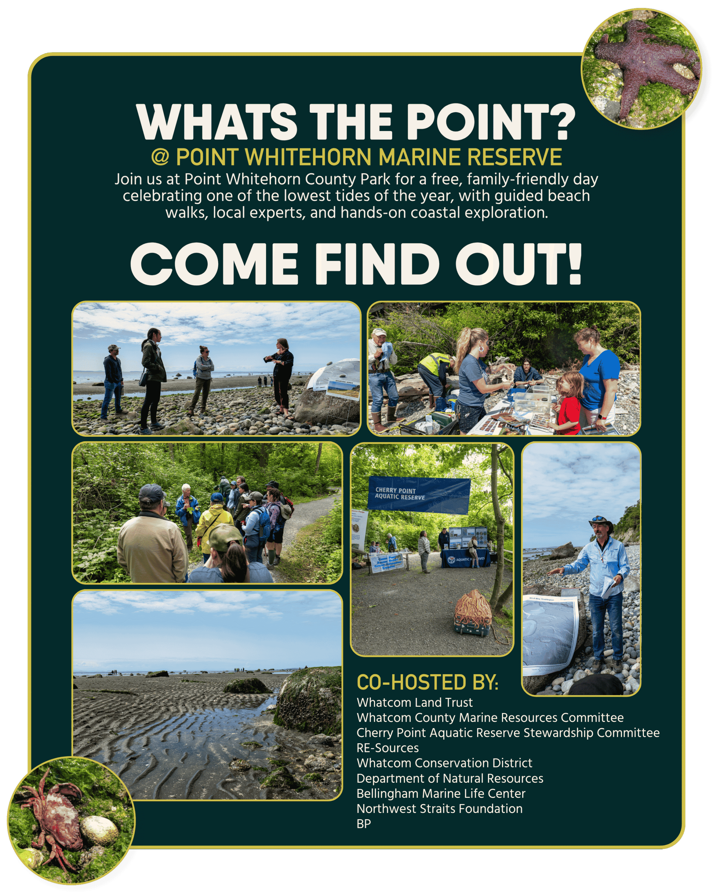 Whats the Point Website Graphic 2026