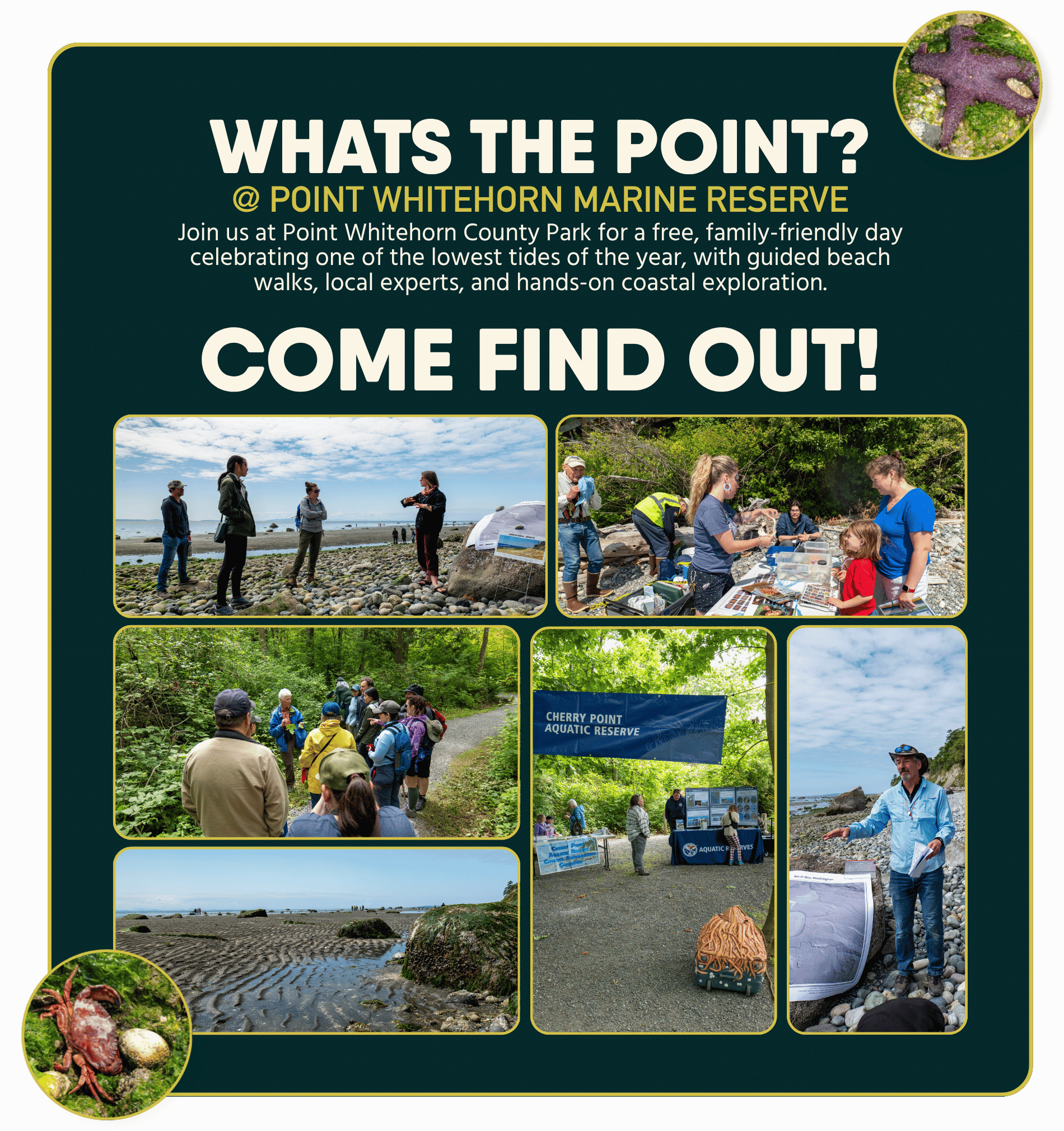 Whats the Point graphic 2026