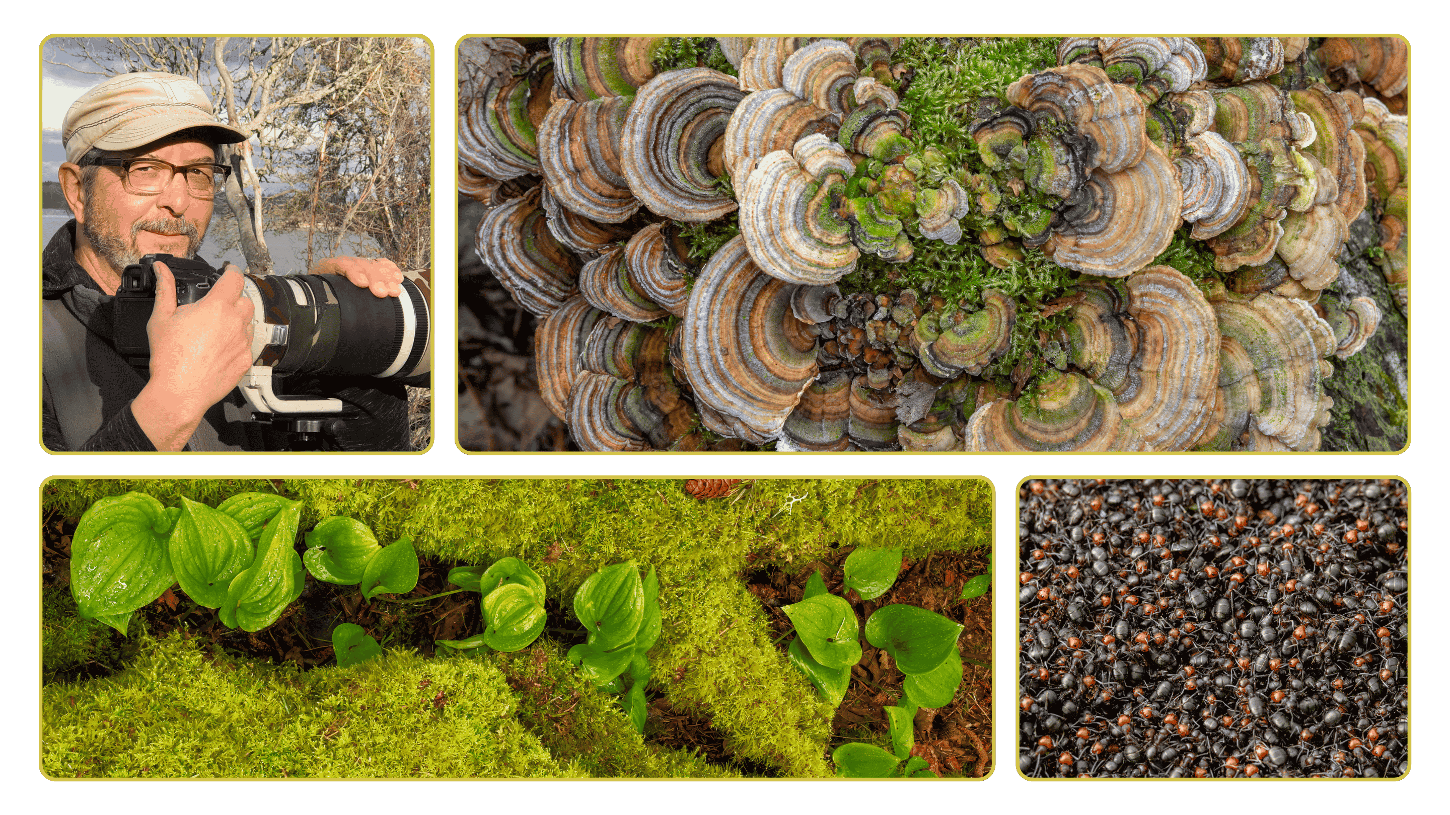 Greg Green Photogrpahy