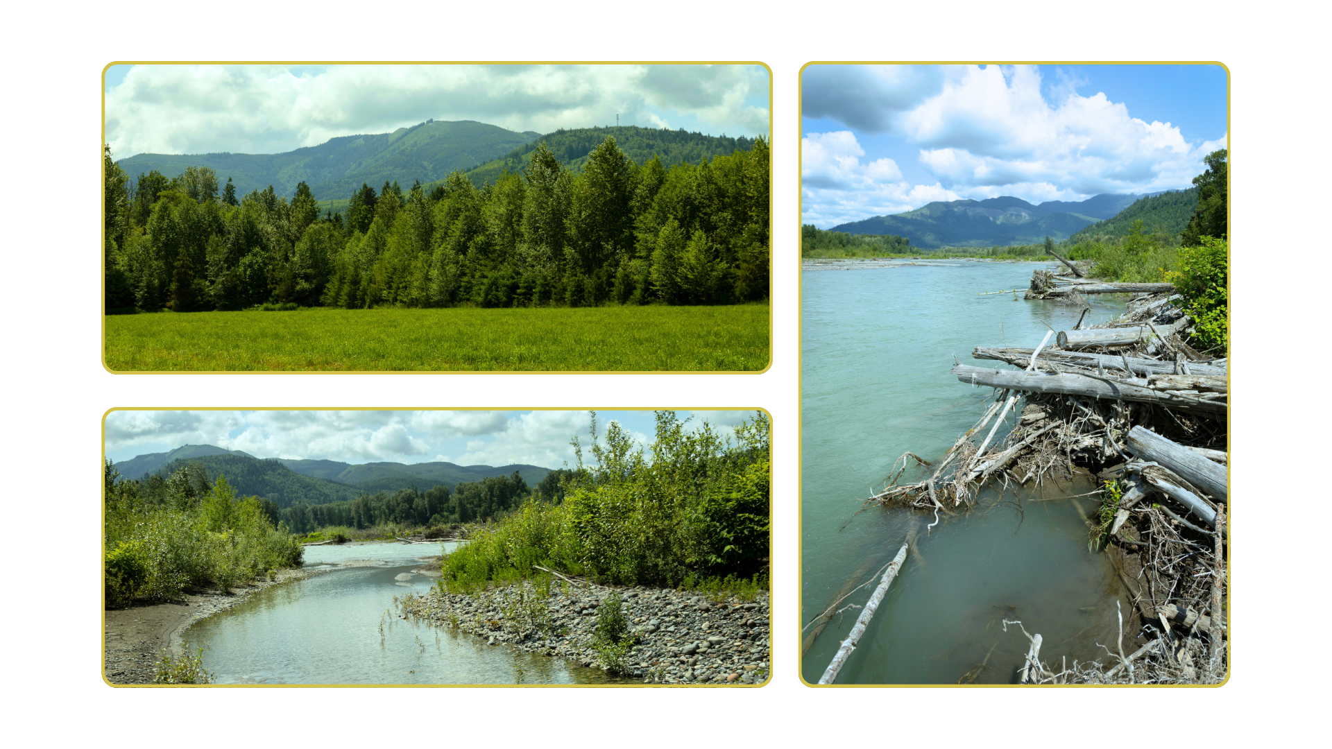 Rutsatz Salmon Reserve