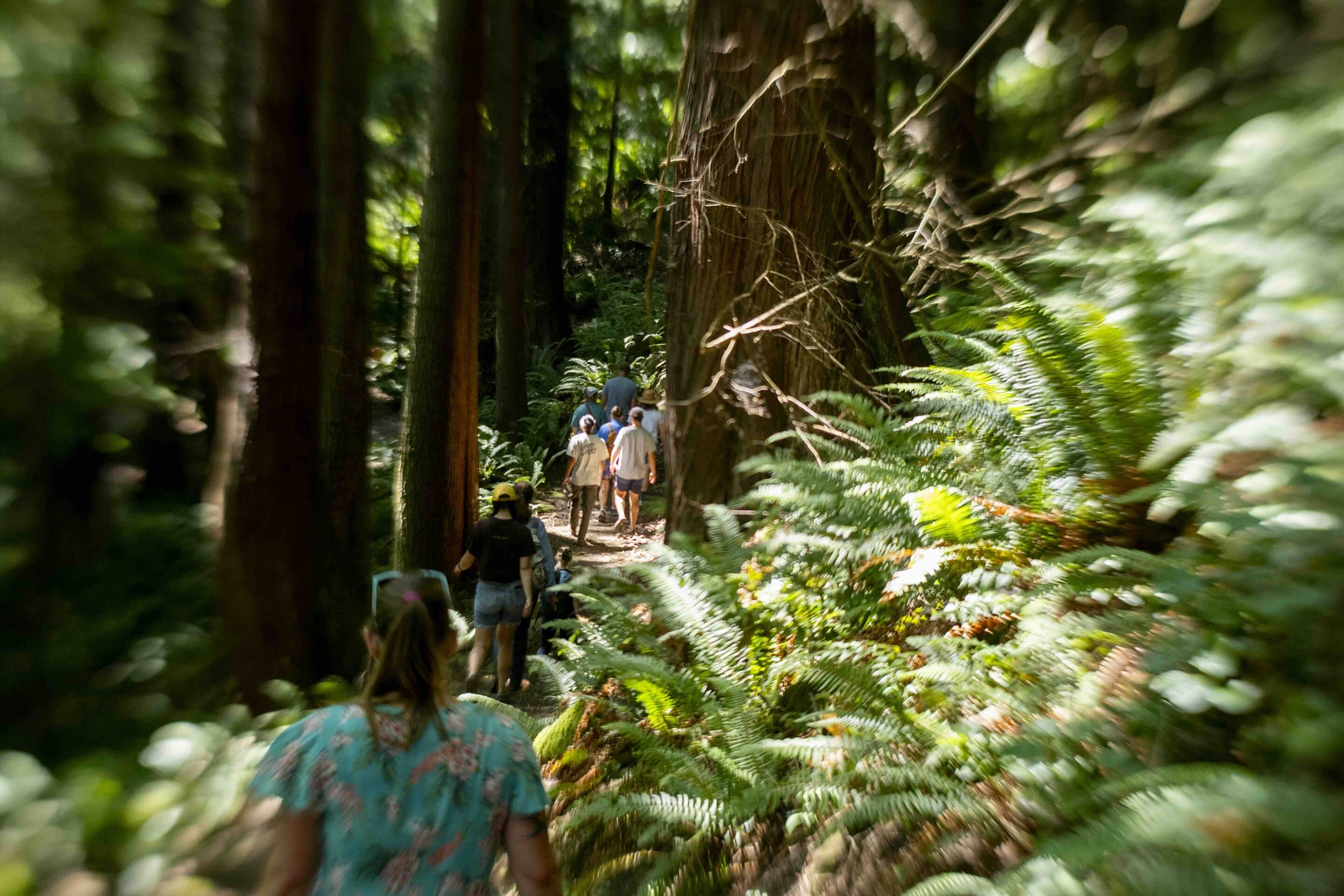 Hiking through Governors Point