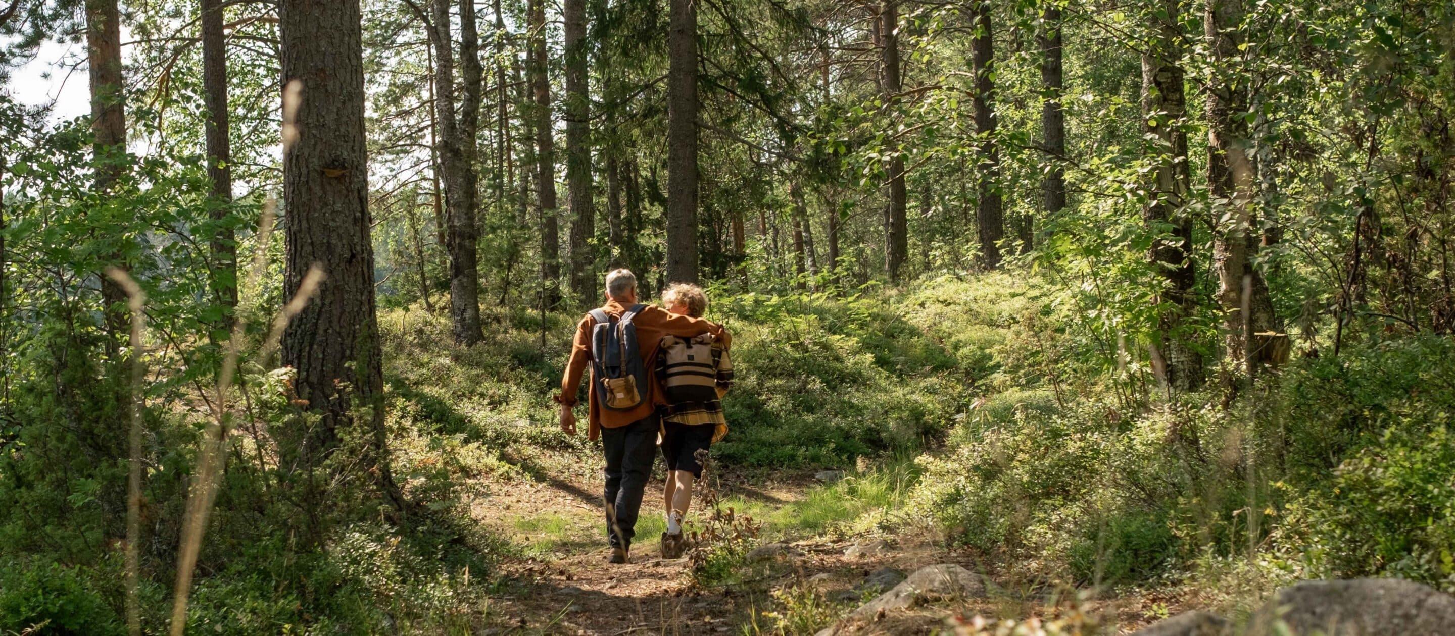 Family walking in the woods