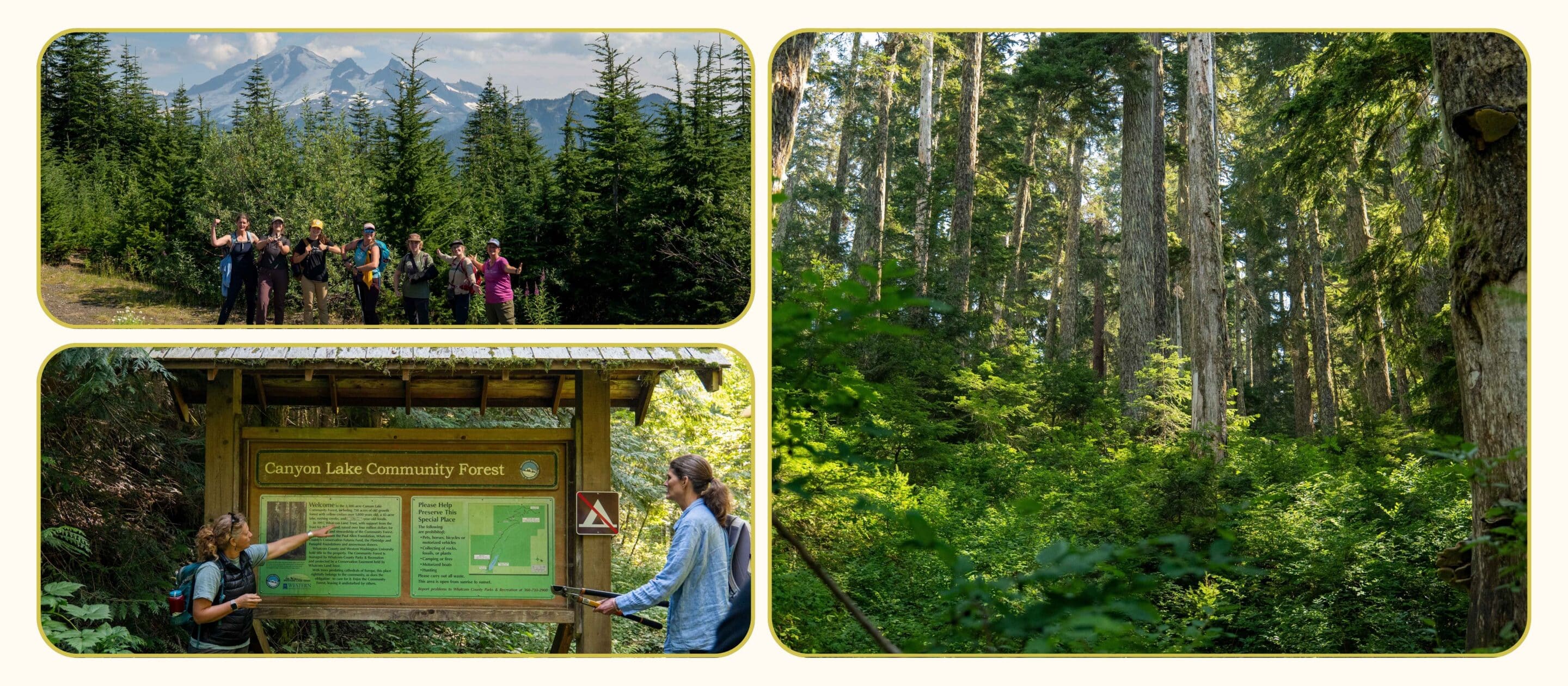 Staff group photo at the summit, the Canyon Lake Community Forest trailhead sign, and a forested trail view.