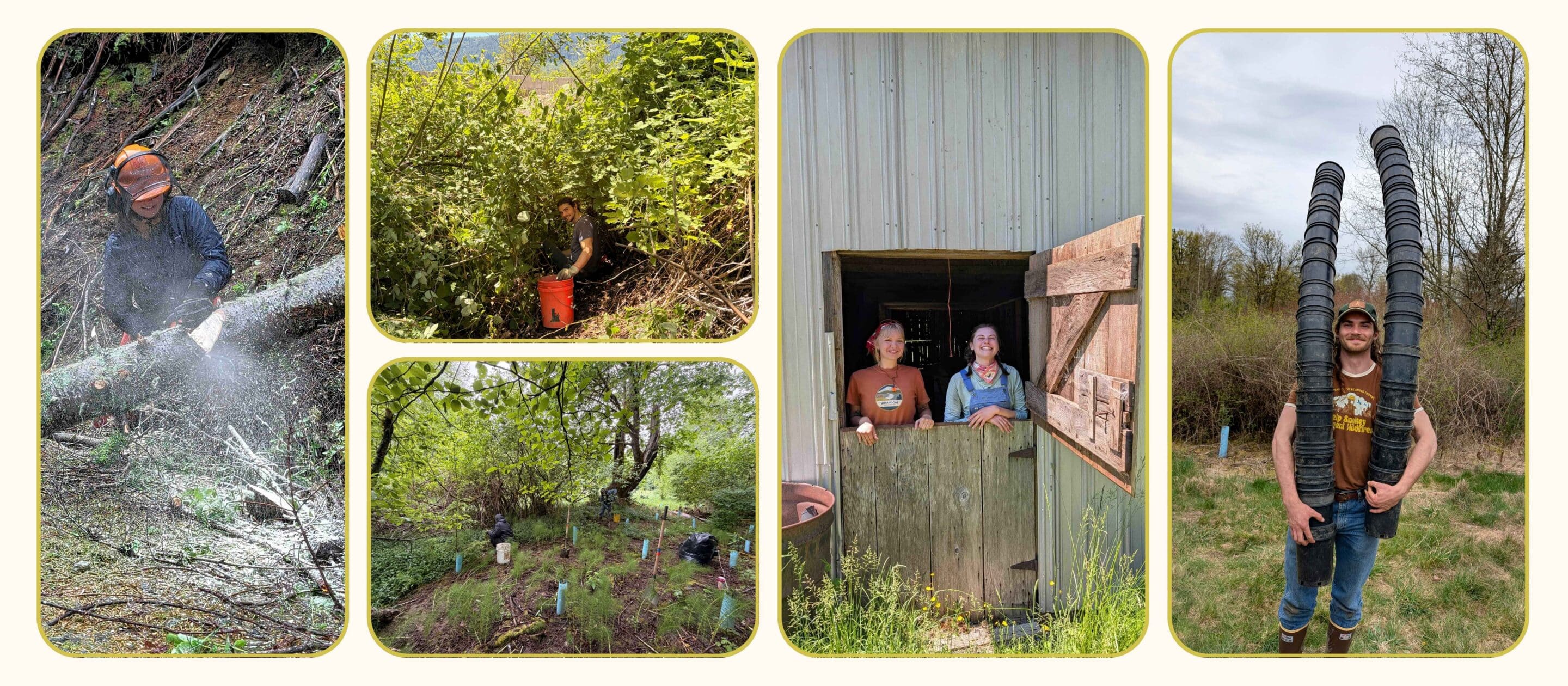 Collage of Stewardship Technicians in the field.
