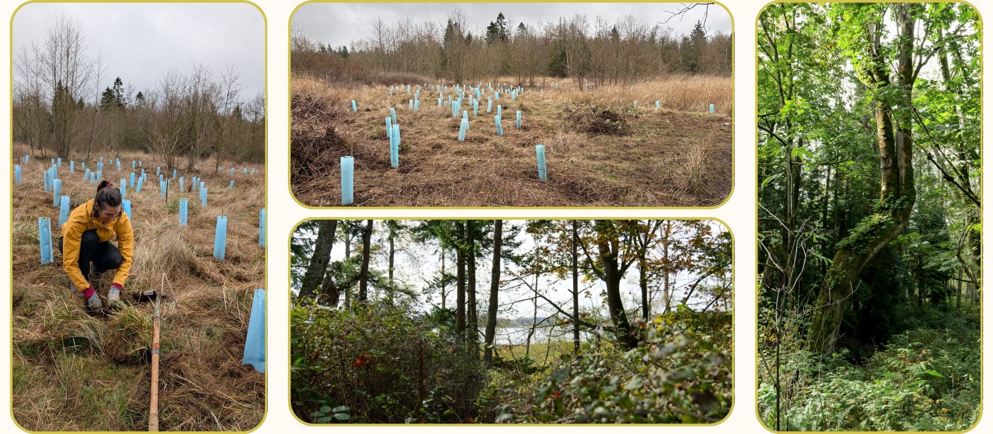 Volunteers and field at Kelsey Reserve.