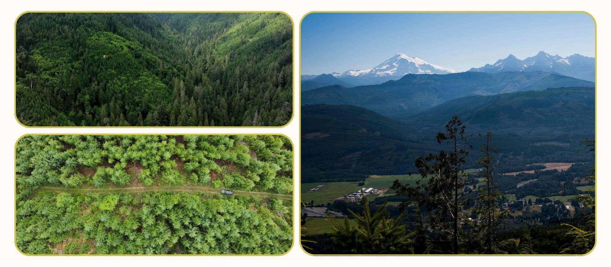 Stewart Mountain Drone Images